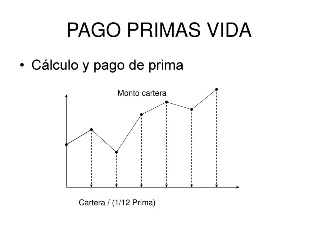 PAGO PRIMAS VIDA Cálculo y pago de prima Monto cartera