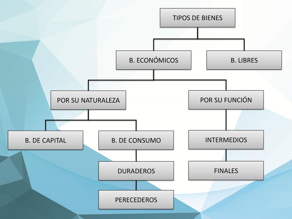 TIPOS DE BIENES B. LIBRES. B. ECONÓMICOS. POR SU FUNCIÓN. POR SU NATURALEZA. FINALES. PERECEDEROS.