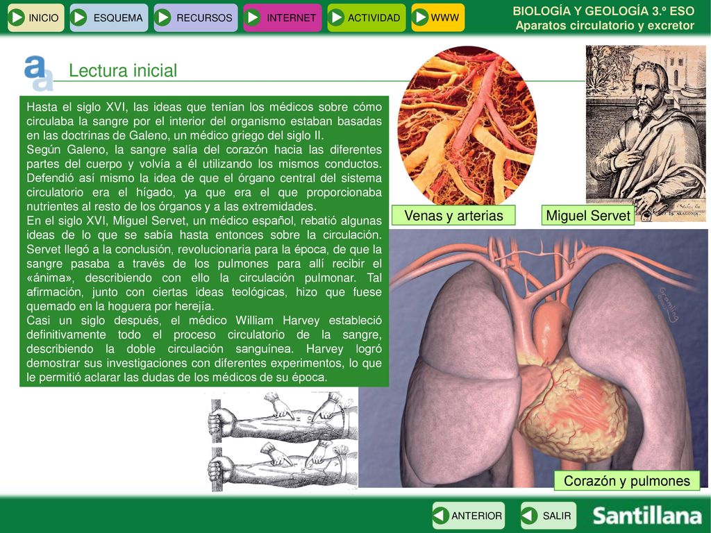 Lectura inicial Venas y arterias Miguel Servet Corazón y pulmones