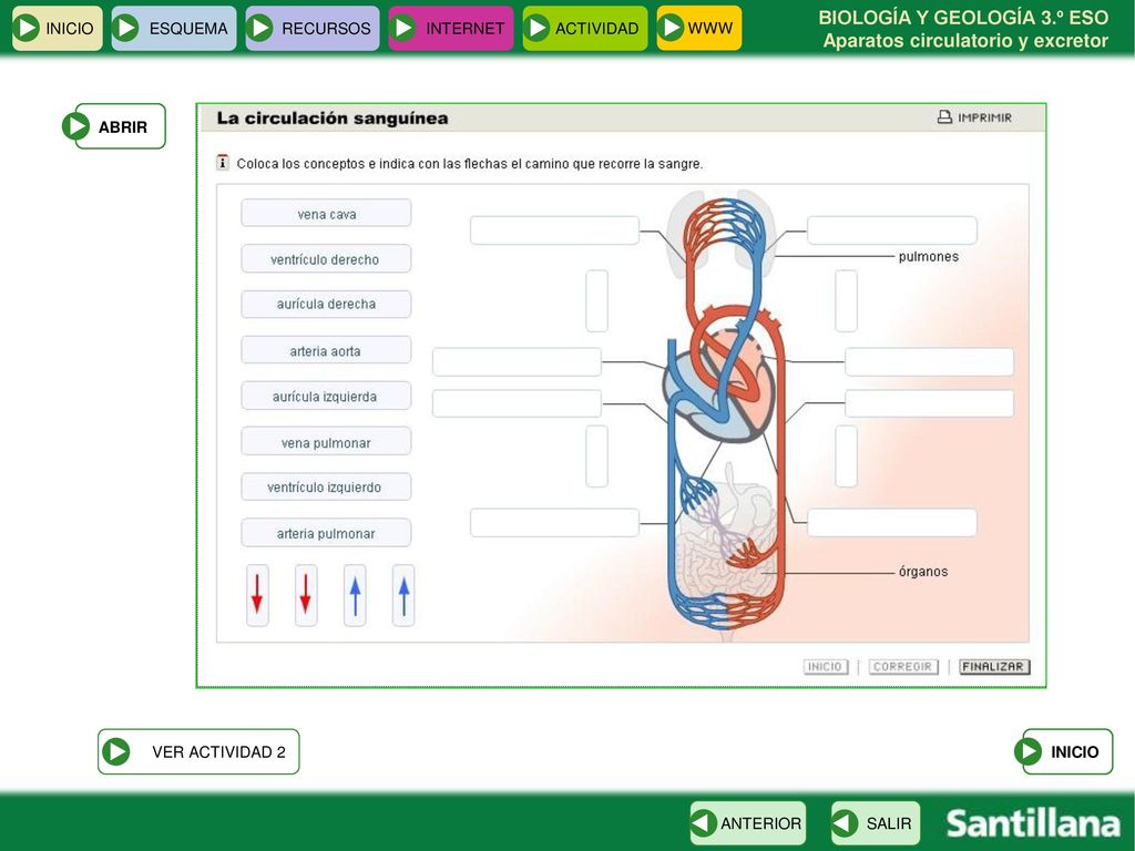 INICIO ESQUEMA RECURSOS INTERNET ACTIVIDAD WWW ABRIR VER ACTIVIDAD 2 INICIO ANTERIOR SALIR