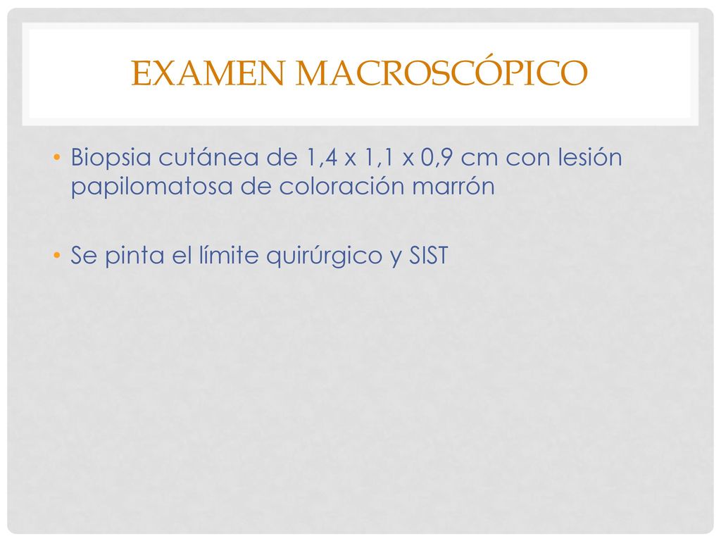 EXAMEN MACROSCÓPICO Biopsia cutánea de 1,4 x 1,1 x 0,9 cm con lesión papilomatosa de coloración marrón.
