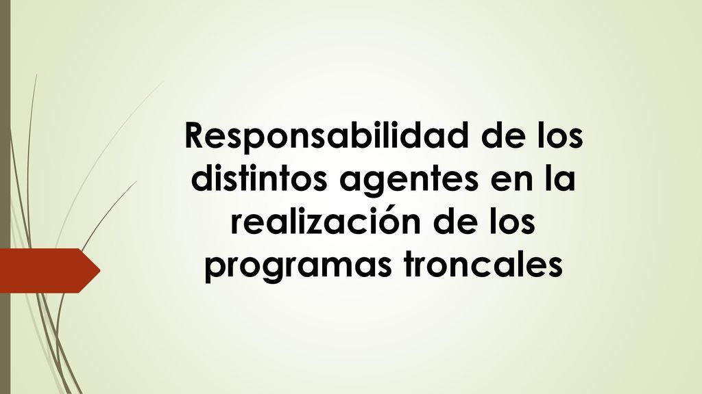 Responsabilidad de los distintos agentes en la realización de los programas troncales