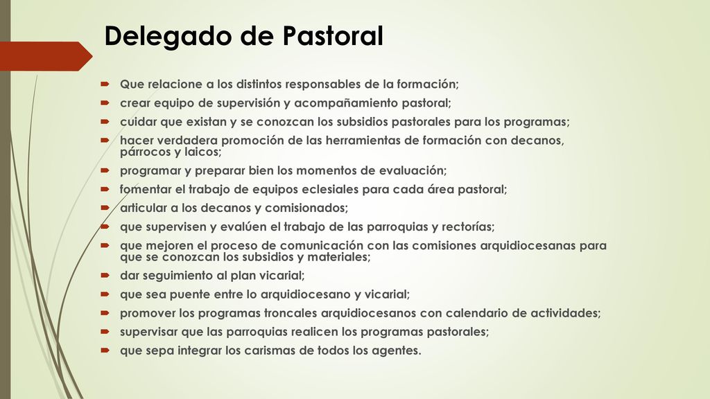 Delegado de Pastoral Que relacione a los distintos responsables de la formación; crear equipo de supervisión y acompañamiento pastoral;