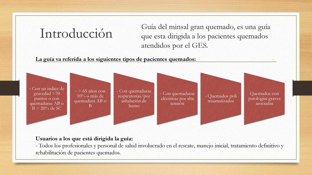 Introducción Guía del minsal gran quemado, es una guía que esta dirigida a los pacientes quemados atendidos por el GES.