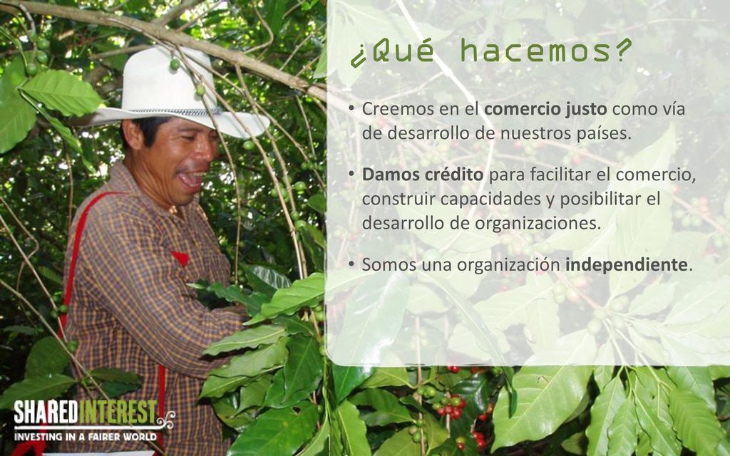 ¿Qué hacemos Creemos en el comercio justo como vía de desarrollo de nuestros países.