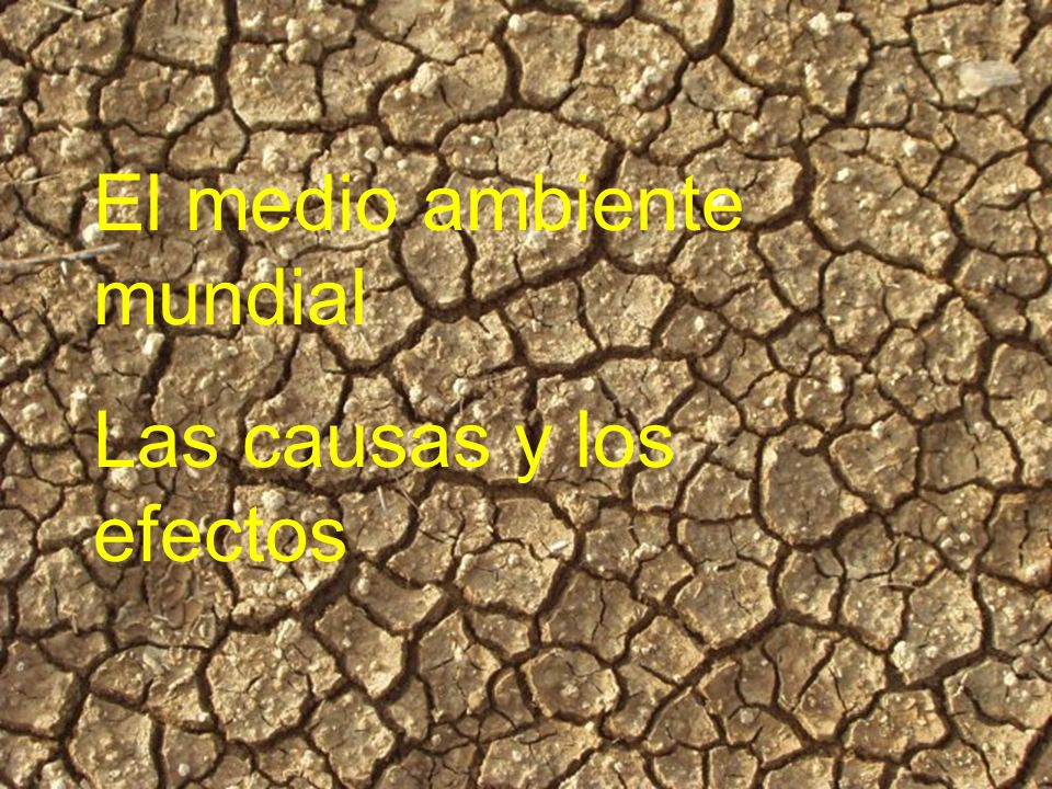El medio ambiente mundial