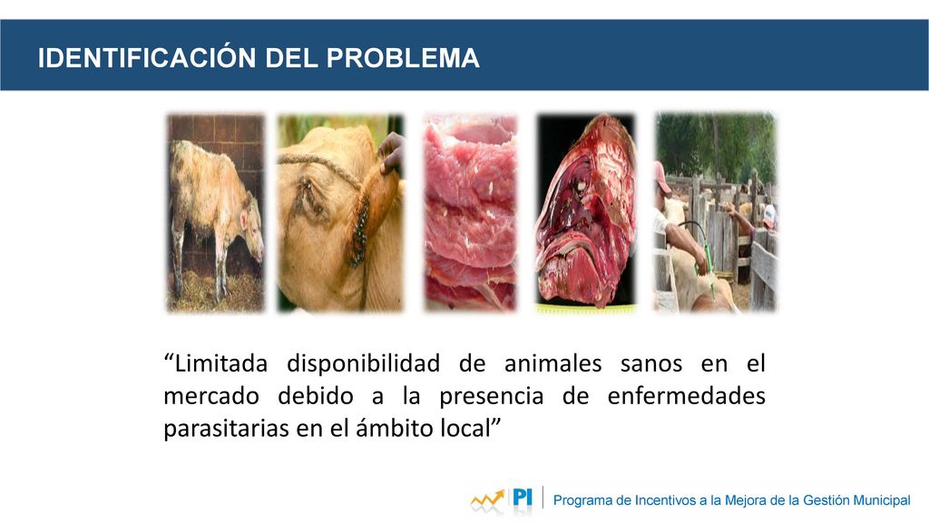 Programa de Incentivos a la Mejora de la Gestión Municipal