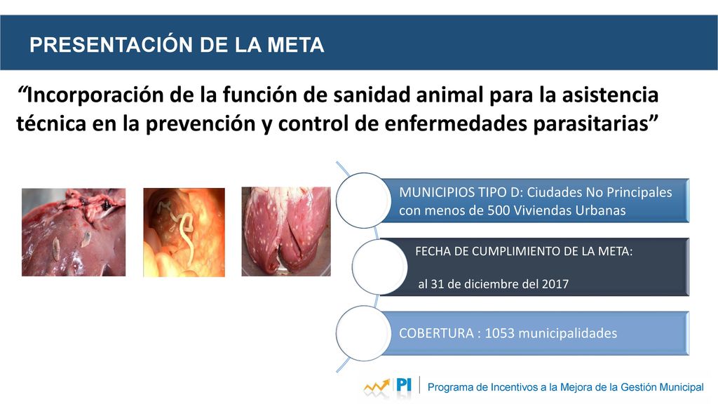 Programa de Incentivos a la Mejora de la Gestión Municipal