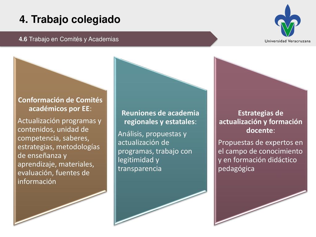 4. Trabajo colegiado Conformación de Comités académicos por EE: