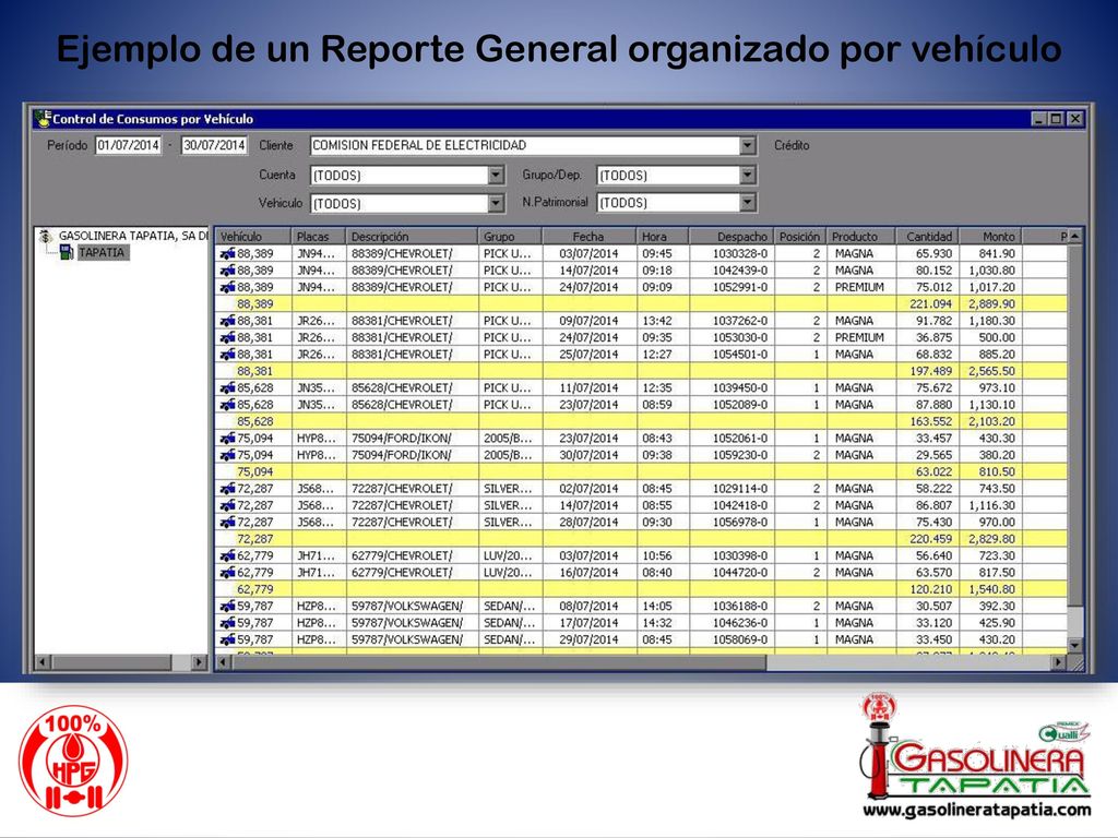 Ejemplo de un Reporte General organizado por vehículo