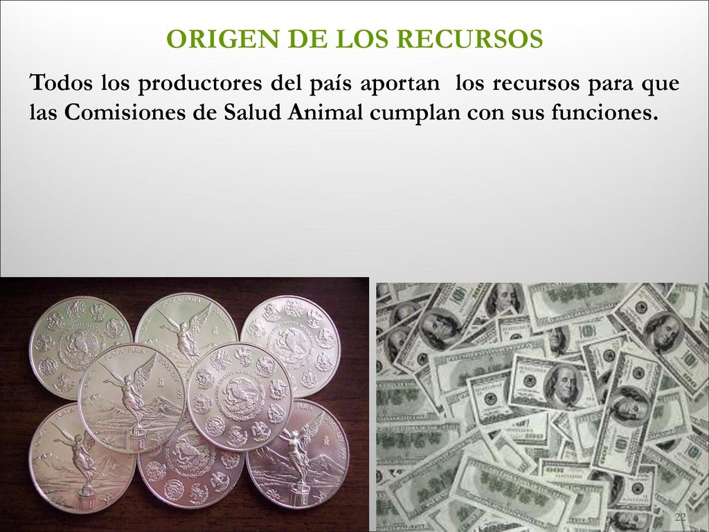 ORIGEN DE LOS RECURSOS Todos los productores del país aportan los recursos para que las Comisiones de Salud Animal cumplan con sus funciones.