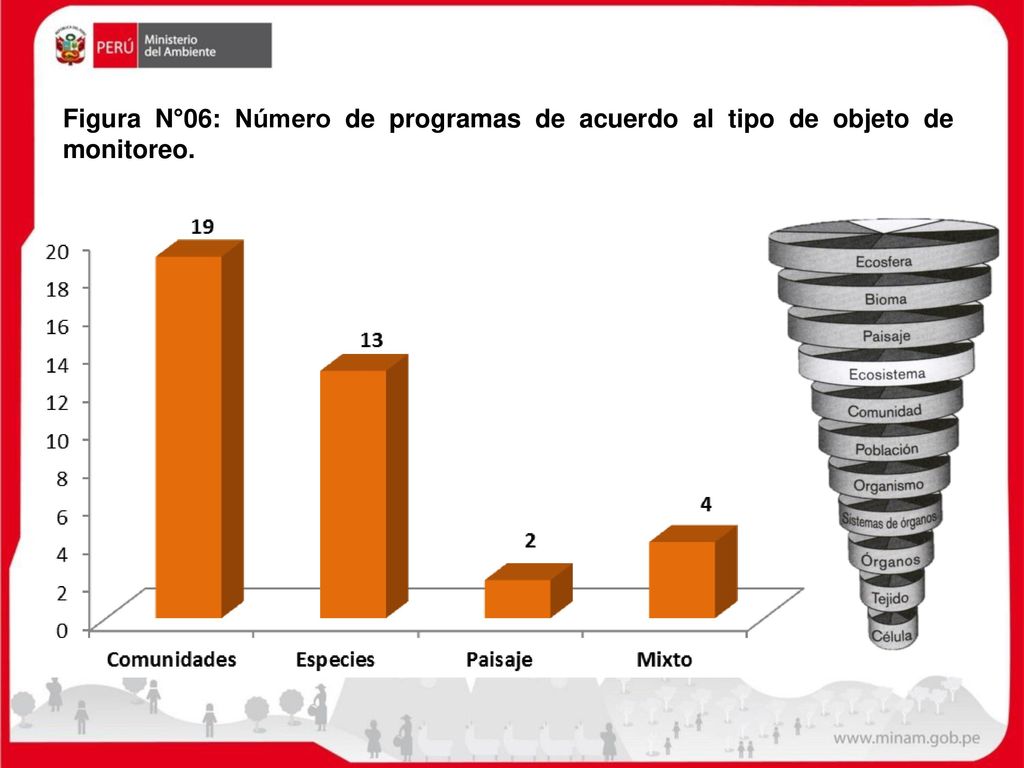 Figura N°06: Número de programas de acuerdo al tipo de objeto de monitoreo.