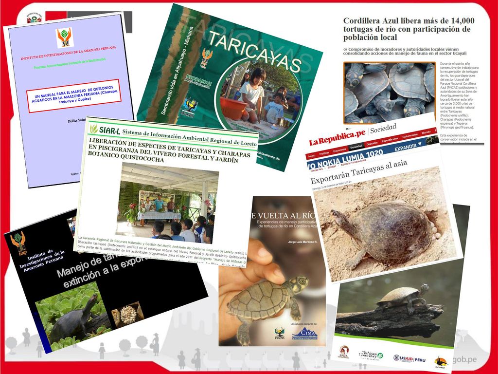 De esta manera se publicaron manuales, guías del cómo hacer el mejor manejo.
