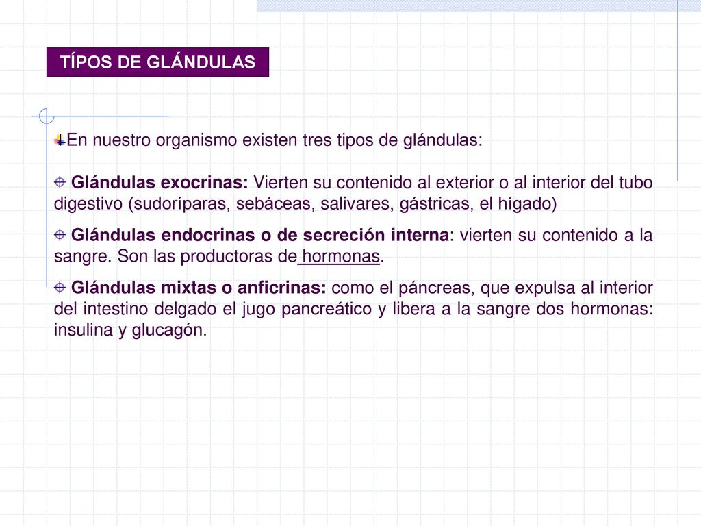 TÍPOS DE GLÁNDULAS En nuestro organismo existen tres tipos de glándulas: