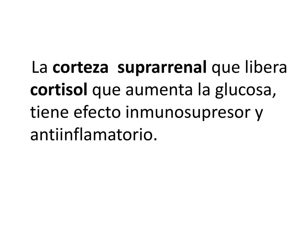 La corteza suprarrenal que libera cortisol que aumenta la glucosa, tiene efecto inmunosupresor y antiinflamatorio.