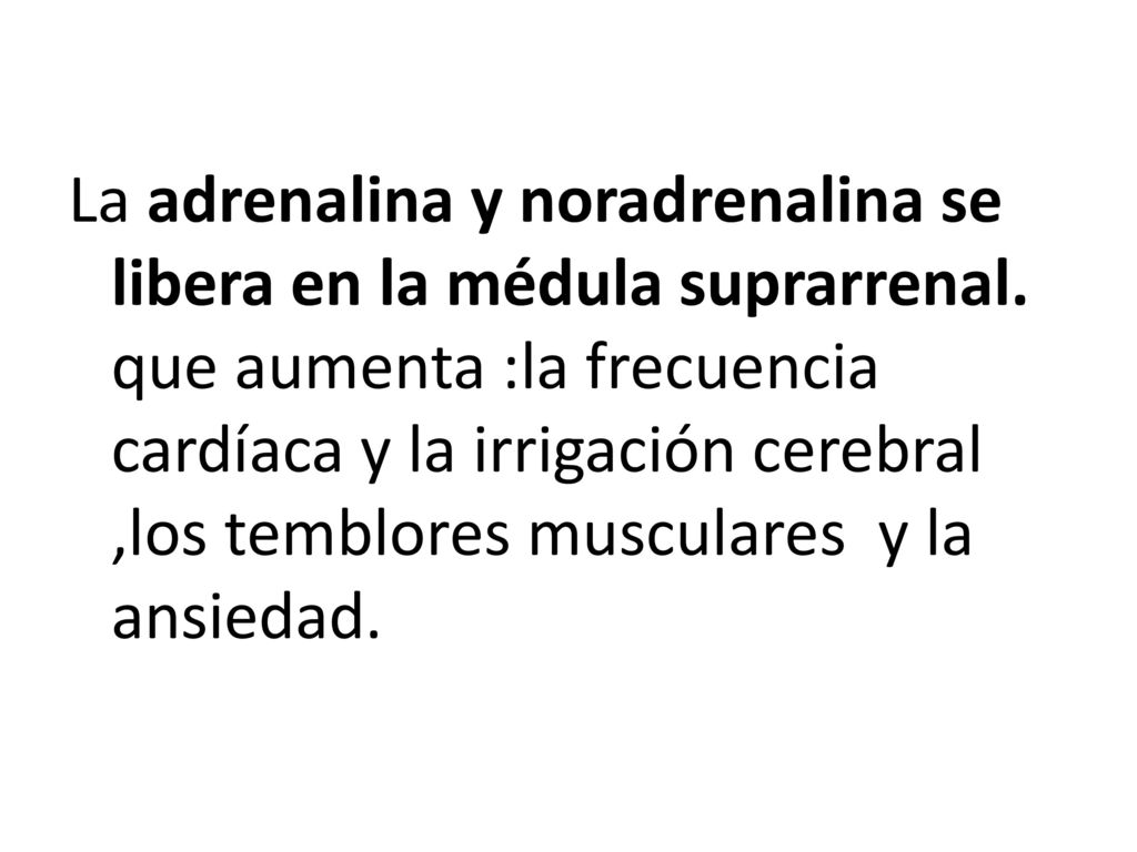 La adrenalina y noradrenalina se libera en la médula suprarrenal