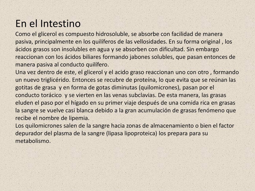 En el Intestino Como el glicerol es compuesto hidrosoluble, se absorbe con facilidad de manera pasiva, principalmente en los quilíferos de las vellosidades.