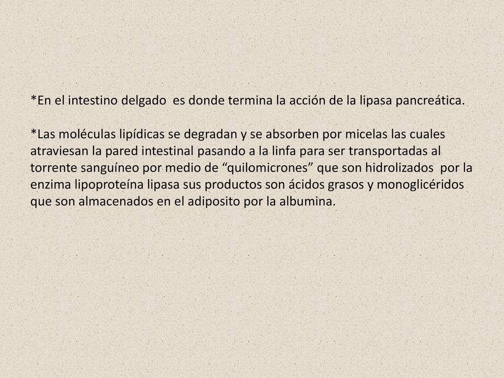 *En el intestino delgado es donde termina la acción de la lipasa pancreática.