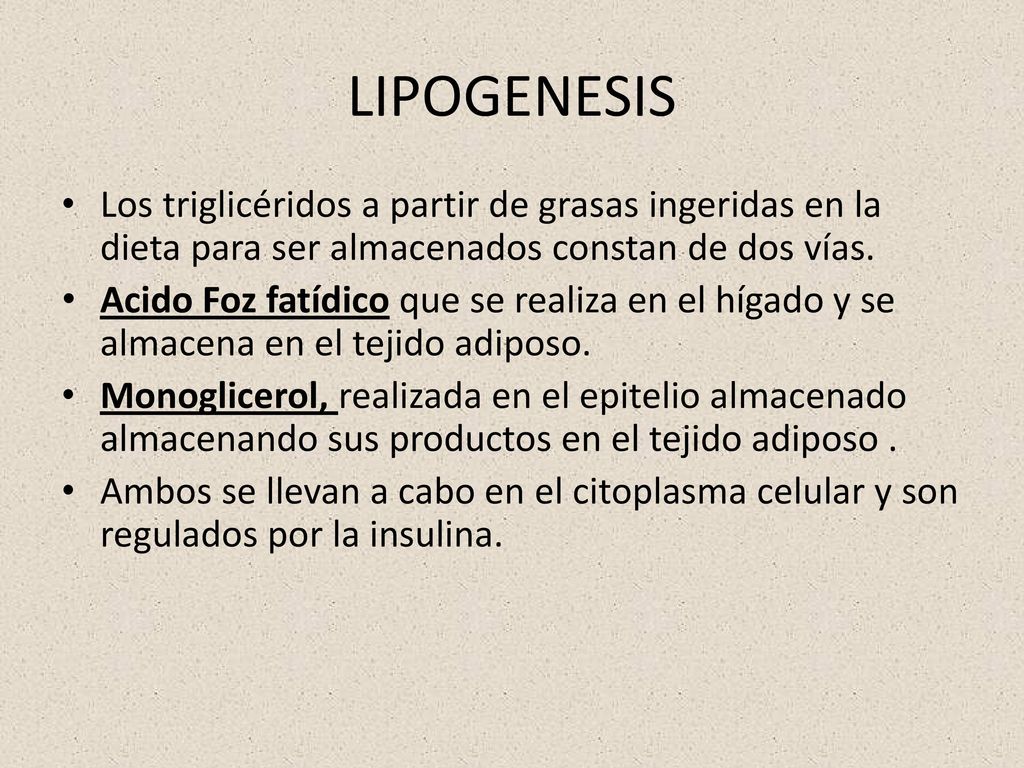 LIPOGENESIS Los triglicéridos a partir de grasas ingeridas en la dieta para ser almacenados constan de dos vías.