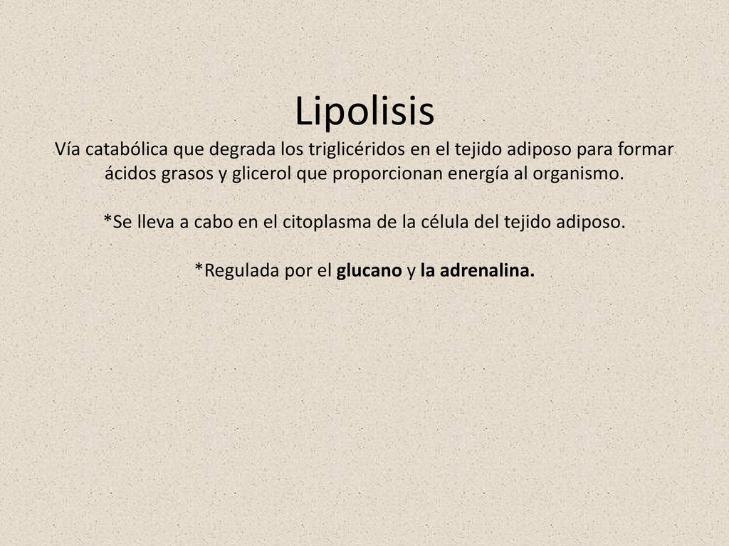 Lipolisis Vía catabólica que degrada los triglicéridos en el tejido adiposo para formar ácidos grasos y glicerol que proporcionan energía al organismo.