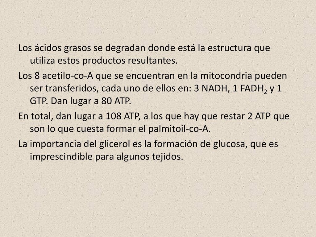 Los ácidos grasos se degradan donde está la estructura que utiliza estos productos resultantes.