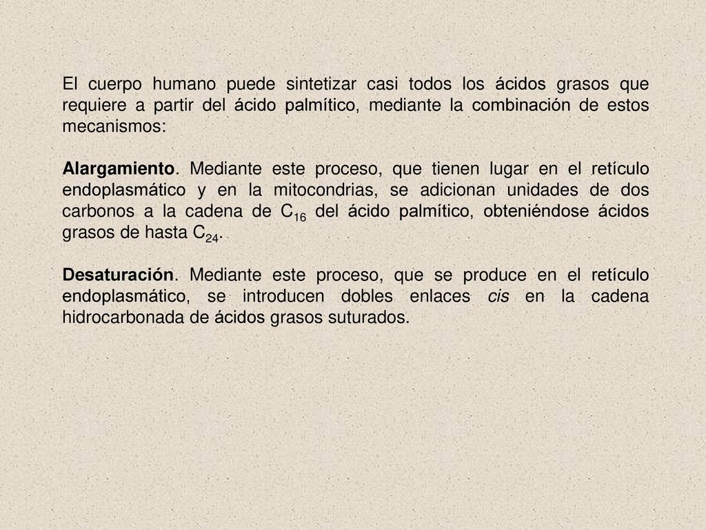 El cuerpo humano puede sintetizar casi todos los ácidos grasos que requiere a partir del ácido palmítico, mediante la combinación de estos mecanismos: