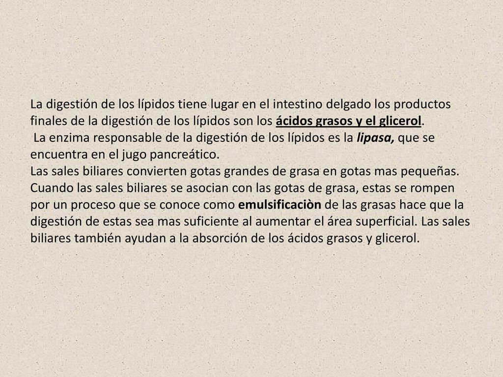 La digestión de los lípidos tiene lugar en el intestino delgado los productos finales de la digestión de los lípidos son los ácidos grasos y el glicerol.