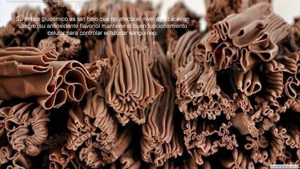Su índice glucémico es tan bajo que no afecta el nivel de azúcar en sangre, su antioxidante flavonol mantiene el buen funcionamiento celular para controlar el azúcar sanguíneo.