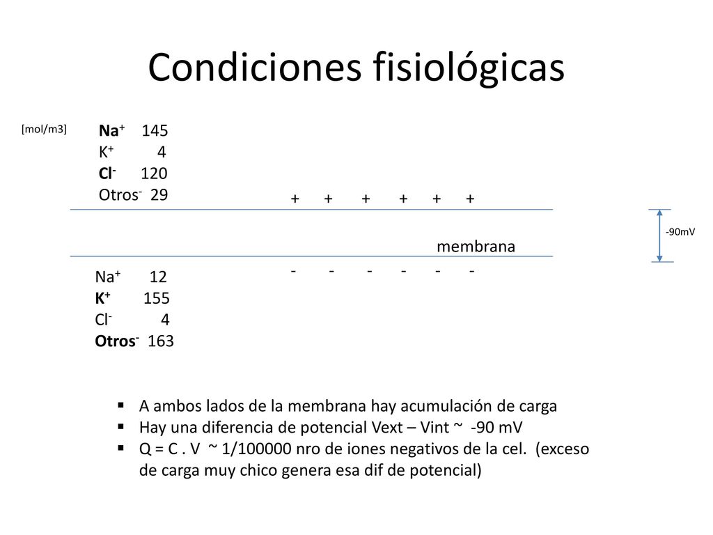Valores tipicos Axon desnudo. Axon Mielina. Resistividad del axoplasma. ρaxoplasma. 2 Ωm. Radio axon.