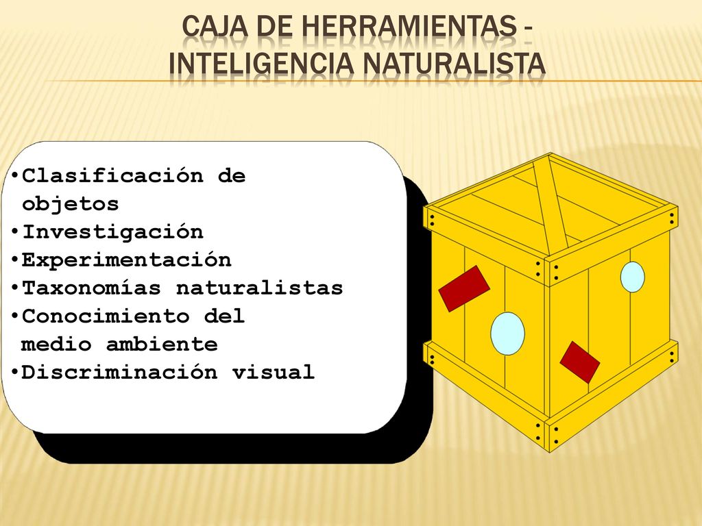 Caja de herramientas - Inteligencia Naturalista