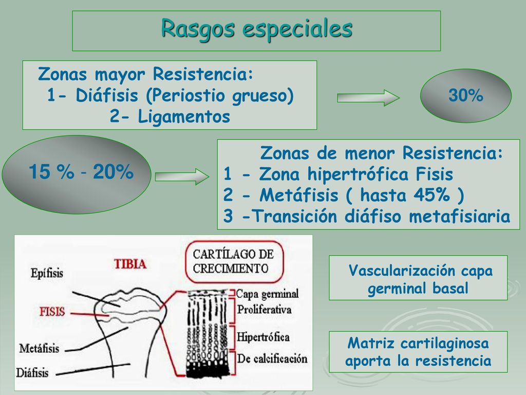 Rasgos especiales 15 % - 20% Zonas mayor Resistencia: