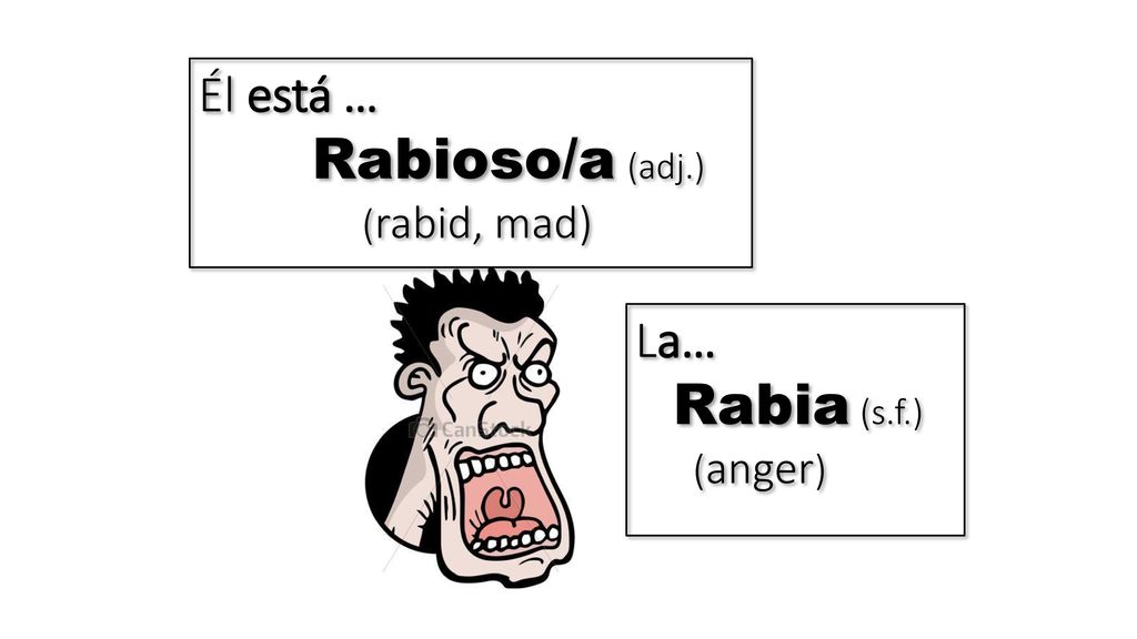 Él está … Rabioso/a (adj.) (rabid, mad) La… Rabia (s.f.) (anger)