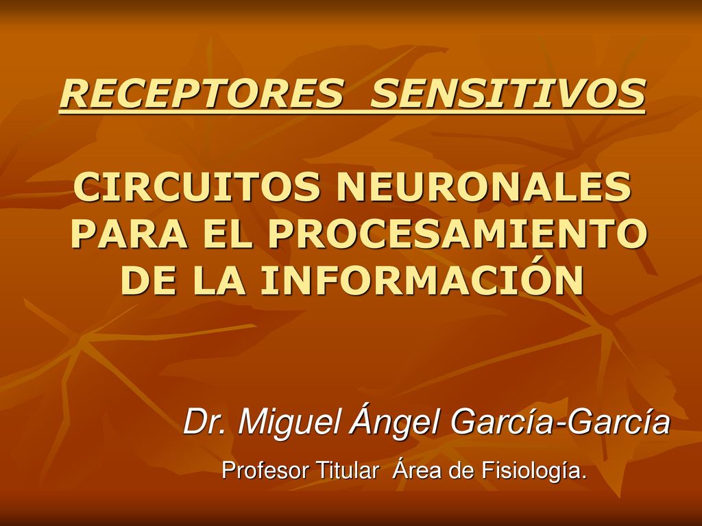 RECEPTORES SENSITIVOS CIRCUITOS NEURONALES PARA EL PROCESAMIENTO DE LA INFORMACIÓN