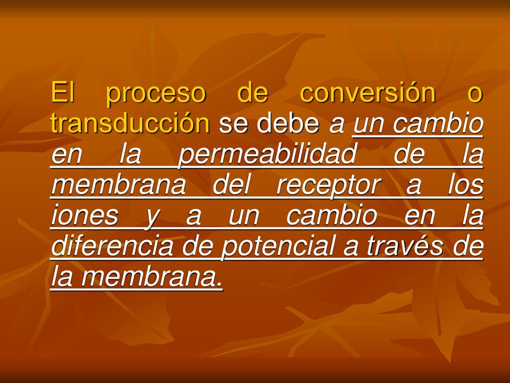 El proceso de conversión o transducción se debe a un cambio en la permeabilidad de la membrana del receptor a los iones y a un cambio en la diferencia de potencial a través de la membrana.
