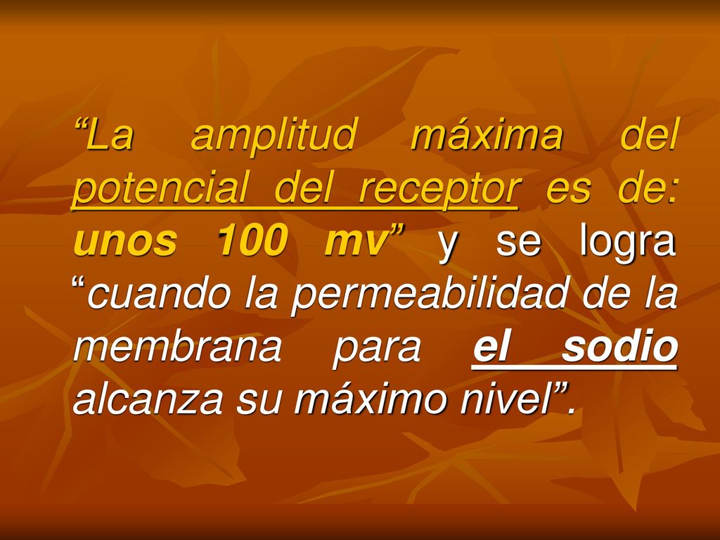 La amplitud máxima del potencial del receptor es de: unos 100 mv y se logra cuando la permeabilidad de la membrana para el sodio alcanza su máximo nivel .