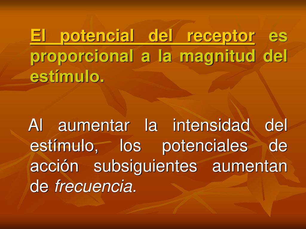 El potencial del receptor es proporcional a la magnitud del estímulo.