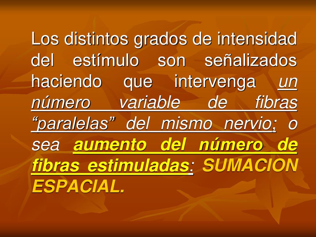 Los distintos grados de intensidad del estímulo son señalizados haciendo que intervenga un número variable de fibras paralelas del mismo nervio; o sea aumento del número de fibras estimuladas: SUMACION ESPACIAL.