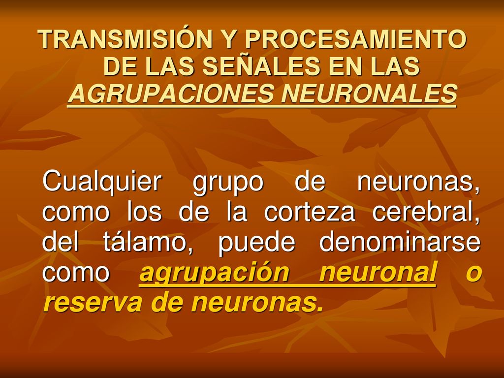 TRANSMISIÓN Y PROCESAMIENTO DE LAS SEÑALES EN LAS AGRUPACIONES NEURONALES