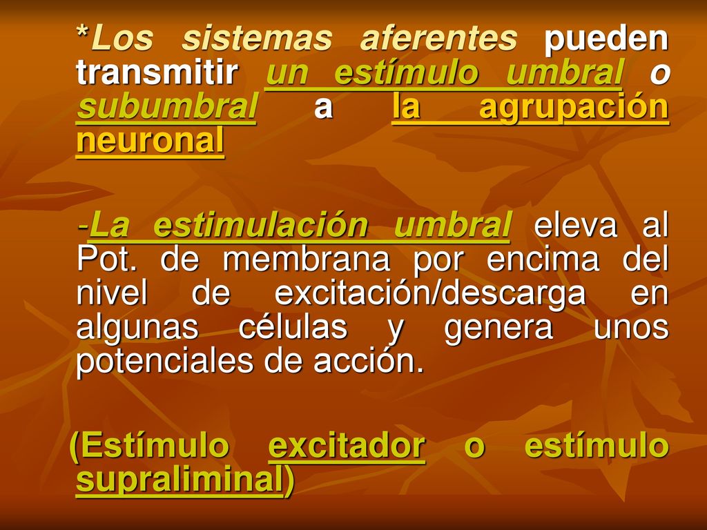 *Los sistemas aferentes pueden transmitir un estímulo umbral o subumbral a la agrupación neuronal