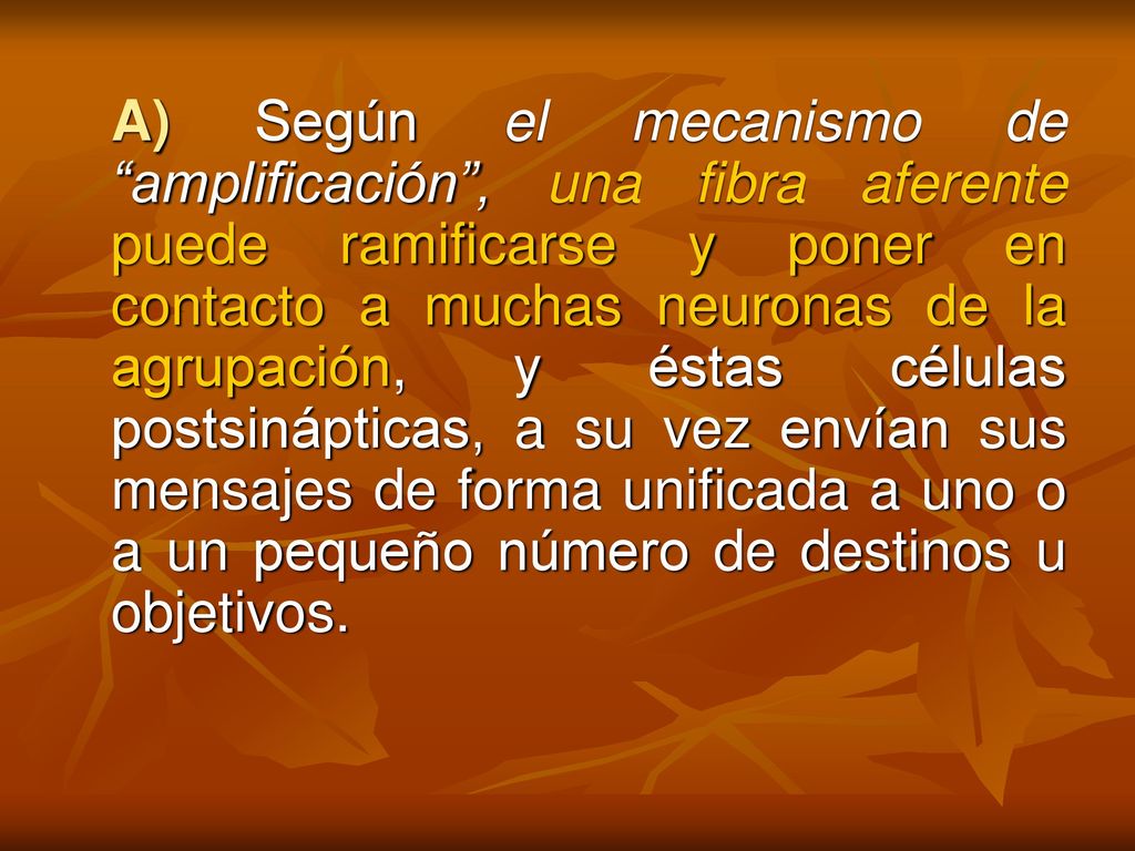 A) Según el mecanismo de amplificación , una fibra aferente puede ramificarse y poner en contacto a muchas neuronas de la agrupación, y éstas células postsinápticas, a su vez envían sus mensajes de forma unificada a uno o a un pequeño número de destinos u objetivos.
