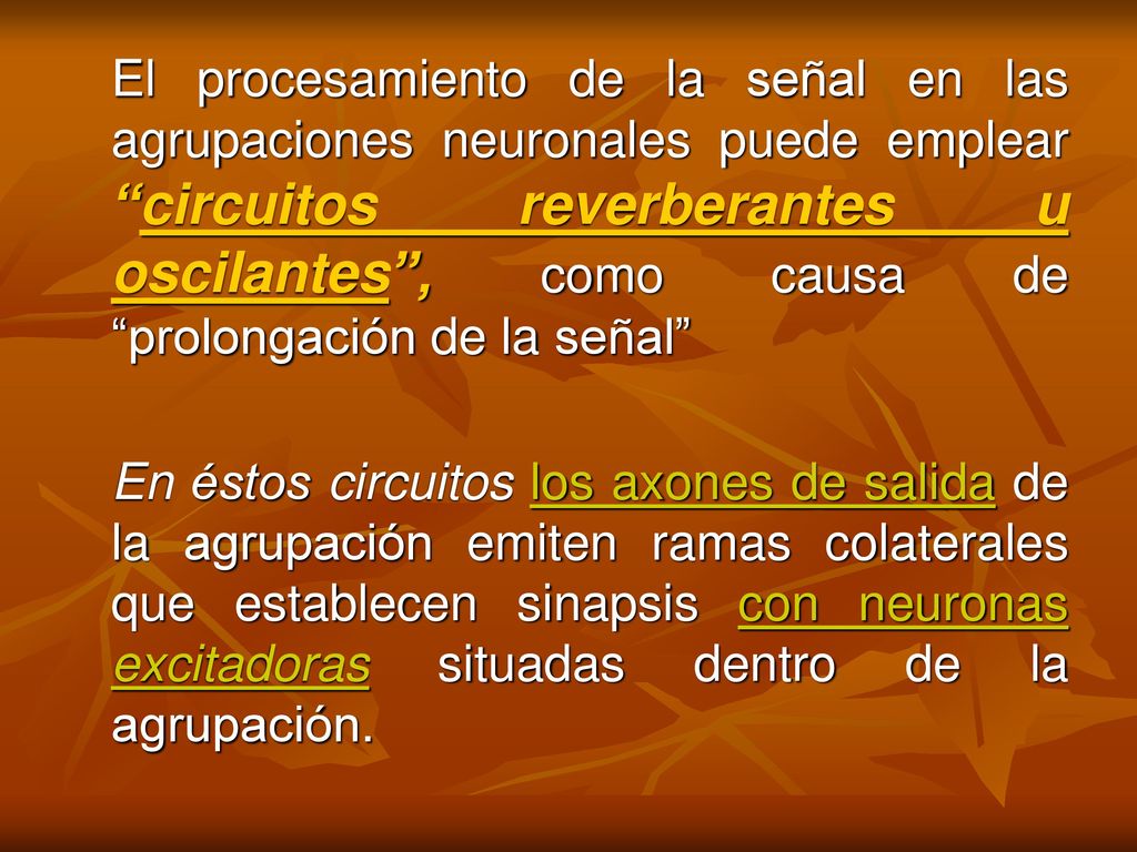 El procesamiento de la señal en las agrupaciones neuronales puede emplear circuitos reverberantes u oscilantes , como causa de prolongación de la señal