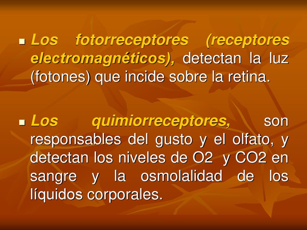 Los fotorreceptores (receptores electromagnéticos), detectan la luz (fotones) que incide sobre la retina.