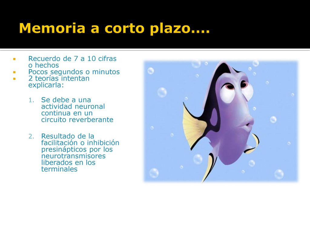 Memoria a corto plazo.... Recuerdo de 7 a 10 cifras o hechos