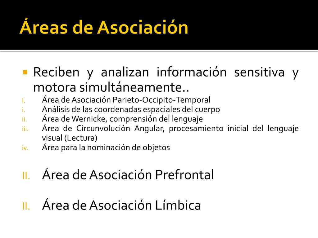 Áreas de Asociación Reciben y analizan información sensitiva y motora simultáneamente.. Área de Asociación Parieto-Occipito-Temporal.