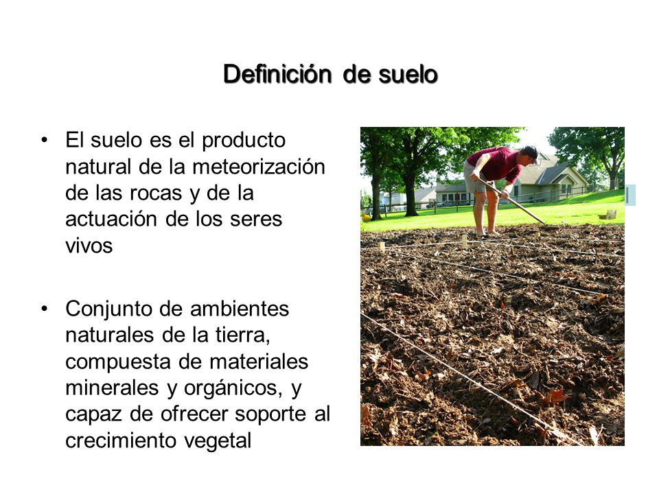 Definición de suelo El suelo es el producto natural de la meteorización de las rocas y de la actuación de los seres vivos.