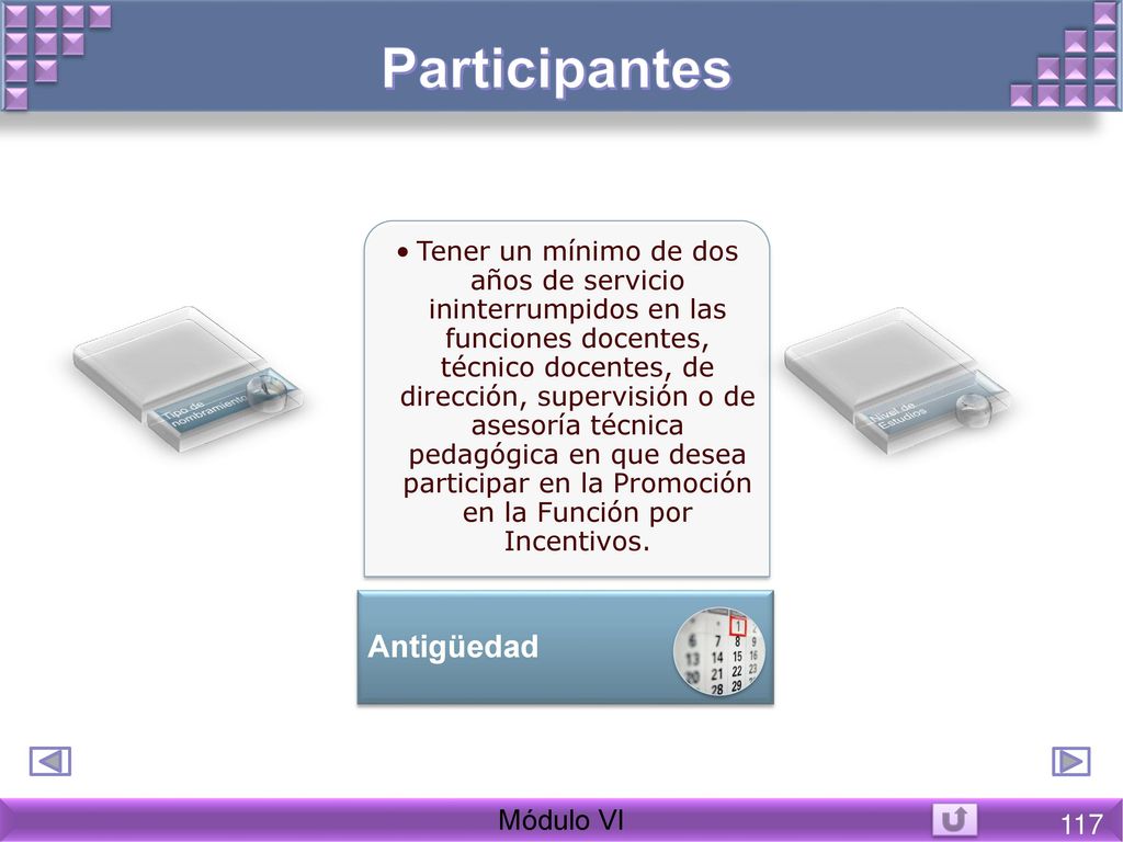 Participantes Antigüedad Módulo VI 117 Tipo de nombramiento