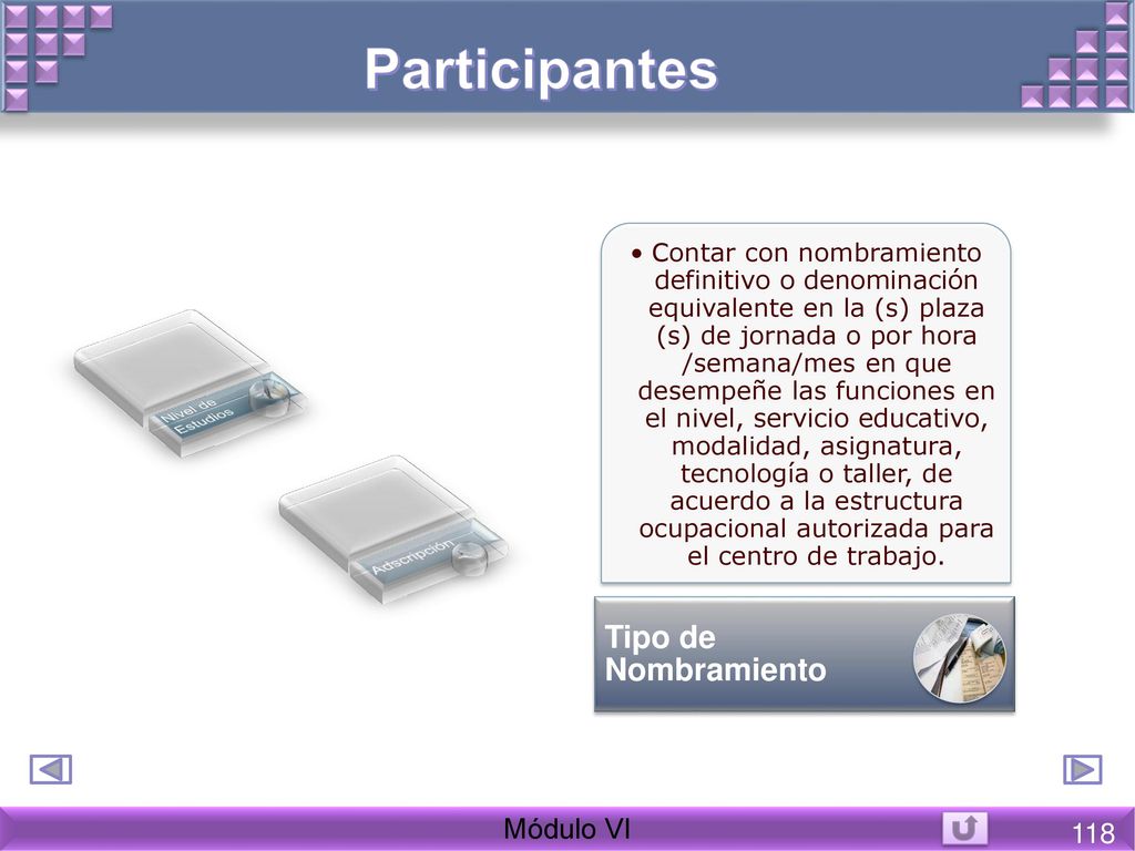 Participantes Tipo de Nombramiento Módulo VI 118