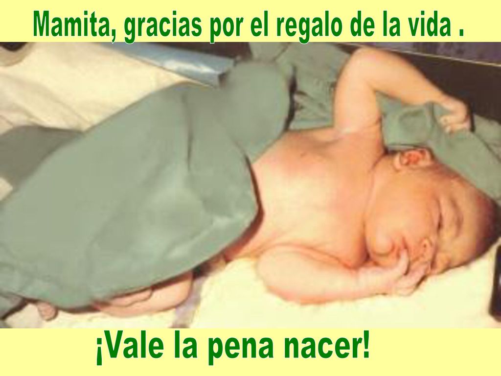 Mamita, gracias por el regalo de la vida .
