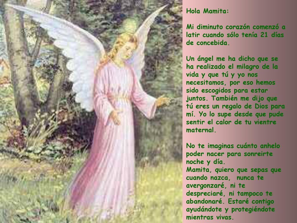 Hola Mamita: Mi diminuto corazón comenzó a latir cuando sólo tenía 21 días de concebida.