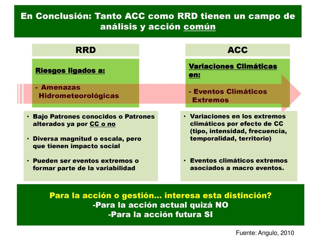 En Conclusión: Tanto ACC como RRD tienen un campo de análisis y acción común